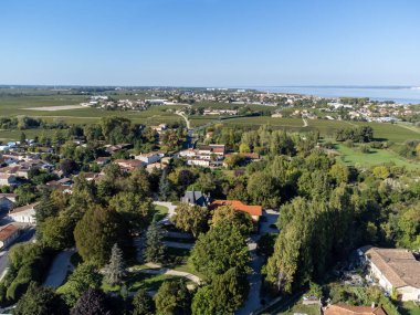 Yeşil üzüm bağları, Gironde nehri, Haut-Medoc kırmızı şarap üretim bölgesindeki şato, Bordeaux, Gironde Estuary 'nin sol kıyısı, Fransa