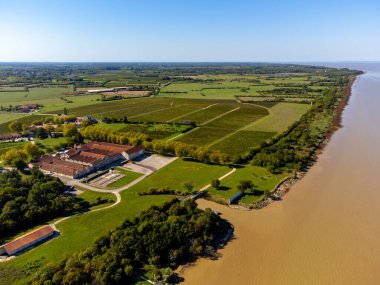 Yeşil üzüm bağları, Gironde nehri, Haut-Medoc kırmızı şarap üretim bölgesindeki şato, Bordeaux, Gironde Estuary 'nin sol kıyısı, Fransa