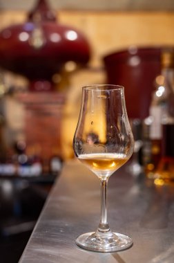 Eski koyu Fransız meşe fıçılarında yıllanmış konyak tadı içki imalathanesinde, konyak beyaz şarap bölgesinde Charente, Segonzac, Grand Champagne, Fransa