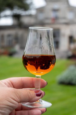 Varillerde yıllanmış konyak, içki ve şehirdeki eski caddeleri ve evleri görmek konyak, büyük şampanya, Charente, güçlü alkol damıtma endüstrisi, Fransa