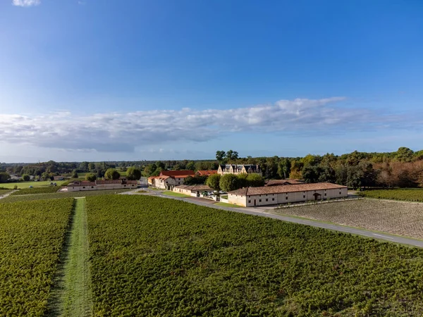 Fransa 'nın Bordeaux, Margaux şehrinde bulunan Gironde Estuary' nin sol kıyısında kırmızı üzümlü kırmızı şarap üreten Haut-Medoc üzümlü yeşil üzüm bağlarıyla hava manzarası.