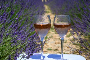 Fransız Provence 'de yaz mevsimi, Cotes de Provence' den soğuk gris gül şarabı ve Valensole platosundaki renkli lavanta tarlaları, Provence, Fransa 'nın tat ve aromaları..