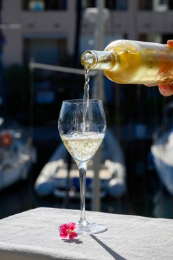 Port Grimaud limanında bir bardak soğuk beyaz şarap. Fransız Riviera 'sında yaz tatili.
