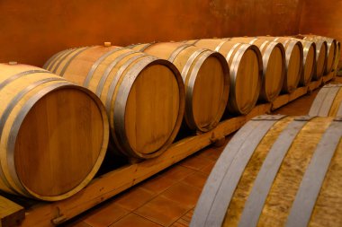 Chateauneuf-du-Pape şarabının yıllandırılması için fıçılarla dolu yeraltı şarap mahzenleri Fransa 'da yeşil üzüm bağlarıyla büyük çakıl taşları kazıkları ve kumtaşı toprakları üzerinde köy yapıyorlar..