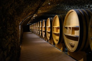 Chateauneuf-du-Pape şarabının yıllandırılması için fıçılarla dolu yeraltı şarap mahzenleri Fransa 'da yeşil üzüm bağlarıyla büyük çakıl taşları kazıkları ve kumtaşı toprakları üzerinde köy yapıyorlar..