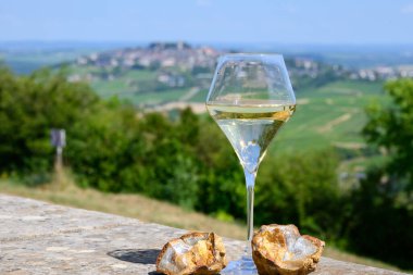Sancerre Chavignol üzüm bağlarından alınmış beyaz şarap kadehleri ve Sancerre köyü yakınlarındaki çakıl taşı toprağı örneği, Cher, Loire vadisi, Fransa.
