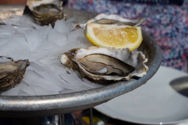Güneşli bir günde Fransa 'nın Bordeaux, Fransa' da Arcachon Körfezi 'nin tekne ve suları manzaralı çiftlik kafesinde, sitronlu taze canlı istiridye yemek.