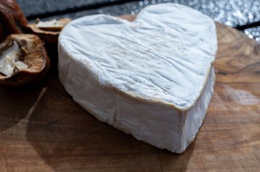 Peynir koleksiyonu, Normandiya bölgesinden Fransız peyniri, çiftlik dükkanından kalp şeklinde neufchatel.