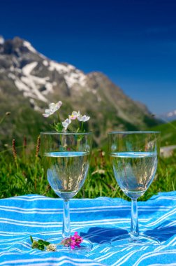 Savoy bölgesinden Roussette de Savoie veya Vin de Savoie şarabı, Fransa 'nın Alpes dağlarında Col du Lautaret' in çiçek açan alp çayırlarında mevcuttur..