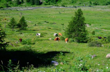 Fransa 'nın orta kesimindeki Loire Vadisi, Pouilly-Fume şarap bölgesinin bir parçası olan üzüm bağlarıyla çevrili Saint-Andelain tepedeki köylerin hava manzarası.