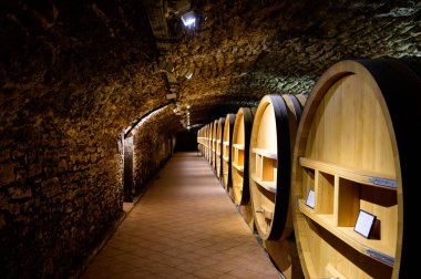 Chateauneuf-du-Pape şarabının yıllandırılması için fıçılarla dolu yeraltı şarap mahzenleri Fransa 'da yeşil üzüm bağlarıyla büyük çakıl taşları kazıkları ve kumtaşı toprakları üzerinde köy yapıyorlar..