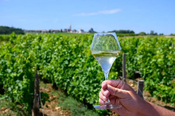 Glass of white wine from vineyards of Pouilly-Fume appelation, near Pouilly-sur-Loire, Burgundy, France.