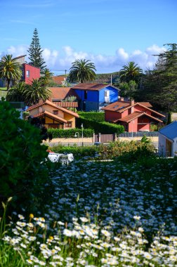 Asturias 'ın yeşil sahillerinde tatil, İspanya' nın kuzeyinde kumlu plajlı Celorio köyü manzarası.