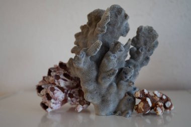 Sert mavi ve koyu mercan taşları, sualtı doğa arka planı...