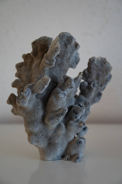 Hard dead blue and dark coral stones, underwater nature background close up