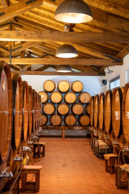 Beyaz, gül, kırmızı ve tatlı şaraplar büyük ve küçük fıçılarda satılıyor İtalya 'da şarap mahzenlerinde, Lazio