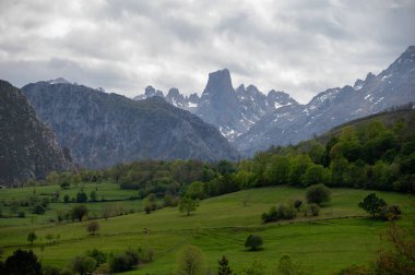 Picos de Europa 'nın Macizo Orta Bölgesi' nde yer alan Paleozoik Çağ 'dan kalma kireçtaşı zirvesi Naranjo de Bulnes veya Picu Urriellu' nun panoramik görüntüsü, Kuzey İspanya 'nın Asturias sıradağları