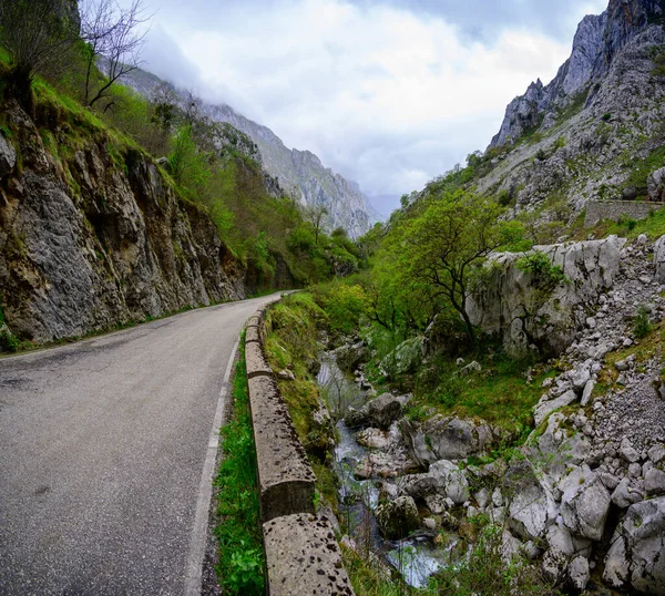 Los Arenas 'tan uzak dağ köyü Sotres' e, Picos de Europa dağlarına, Asturias 'a, İspanya' nın kuzeyine uzanan dar dağ yolu, vadi ve dağların manzarası.