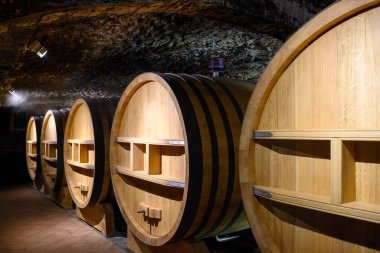 Chateauneuf-du-Pape şarabının yıllandırılması için fıçılarla dolu yeraltı şarap mahzenleri Fransa 'da yeşil üzüm bağlarıyla büyük çakıl taşları kazıkları ve kumtaşı toprakları üzerinde köy yapıyorlar..