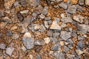 Yer mantarı çiftliği, kara kış mantarlarının ekimi Perigord mantarları, Tuber melanosporumu taşların ve toprağın meşe ağaçlarıyla tarlalarda yetiştirilmesi, Fransa