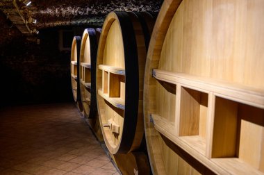Chateauneuf-du-Pape şarabının yıllandırılması için fıçılarla dolu yeraltı şarap mahzenleri Fransa 'da yeşil üzüm bağlarıyla büyük çakıl taşları kazıkları ve kumtaşı toprakları üzerinde köy yapıyorlar..