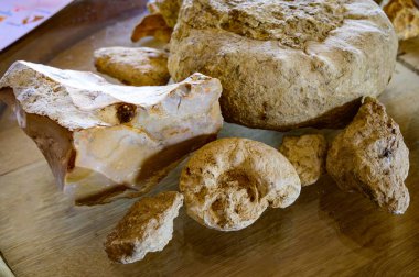 Pouilly-Fume adreslerindeki mahzenlerde şarap turu, Pouilly-Fume adreslerinin toprakları, çakıl taşları, kil taşı, caillottes kireçtaşı fosilleri, Pouilly-sur-Loire, Fransa