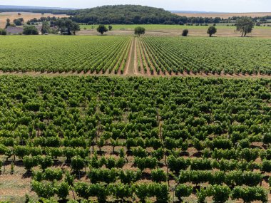 Pouilly-Fume adreslerinin hava manzarası, Sauvignon Blanc üzümlerinden yapılan kuru beyaz şarap farklı toprak türlerinde yetişen üzümler, Fransa