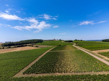 Pouilly-Fume adreslerinin hava manzarası, Sauvignon Blanc üzümlerinden yapılan kuru beyaz şarap farklı toprak türlerinde yetişen üzümler, Fransa