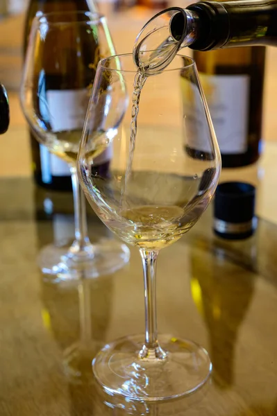 Pouilly-Fume 'daki mahzenlerde şarap turu, Pouilly-sur-Loire, Burgundy, Fransa yakınlarındaki Pouilly-Fume adalarının üzüm bağlarından beyaz şarap tatma,.