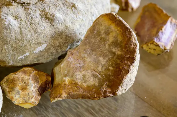 Pouilly-Fume adreslerindeki mahzenlerde şarap turu, Pouilly-Fume adreslerinin toprakları, çakıl taşları, kil taşı, caillottes kireçtaşı fosilleri, Pouilly-sur-Loire, Fransa