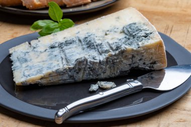 Peynir koleksiyonu, İtalya 'nın kuzeyinden mavi küflü İtalyan peynirli gorgonzola picante.