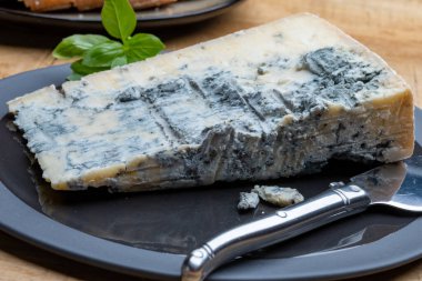 Peynir koleksiyonu, İtalya 'nın kuzeyinden mavi küflü İtalyan peynirli gorgonzola picante.