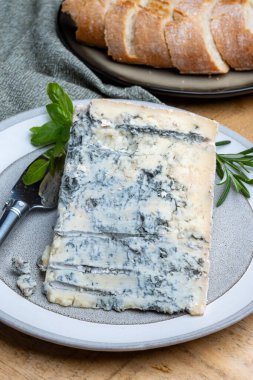 Peynir koleksiyonu, İtalya 'nın kuzeyinden mavi küflü İtalyan peynirli gorgonzola picante.