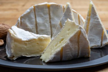 Fransız peyniri, orijinal Camembert de Normandie peyniri, beyaz küfle kaplayın.