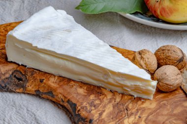 Piece of french soft-ripened white mold cow milk cheese brie produced in Seine-et-Marne region, France, close up
