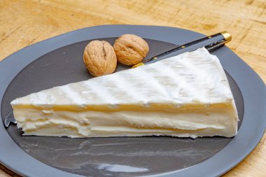 Piece of french soft-ripened white mold cow milk cheese brie produced in Seine-et-Marne region, France, close up