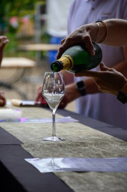 Fransız şampanyası, Cote des Bar 'da hafta sonu şampanya festivali güzergahında köpüklü beyaz şarap tatmak.