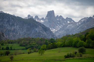 Picos de Europa 'nın Macizo Orta Bölgesi' nde yer alan Paleozoik Çağ 'dan kalma kireçtaşı zirvesi Naranjo de Bulnes veya Picu Urriellu' nun panoramik görüntüsü, Kuzey İspanya 'nın Asturias sıradağları
