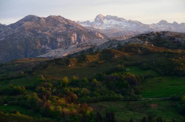 İspanya 'nın kuzeyindeki Asturias' ta arabayla dağ manzaralı yerlere giderken, Picos de Europa dağ sırasını görür