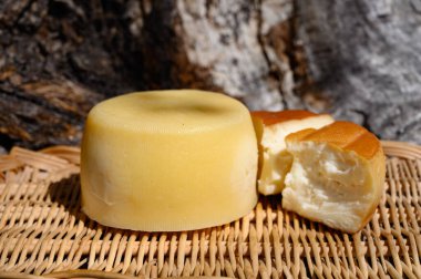 İnek, keçi ve koyundan yapılan farklı Cantabrian peynirleri. Çiftçilerin peynir dükkanlarında, Cantabria dağlarında, Kuzey İspanya 'da.