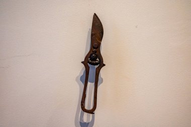 Epernay, Champagne, Fransa 'da geleneksel şarap ve noir üzümlerinden şampanya yapmak için Old hane ekipmanı kullanılıyor.