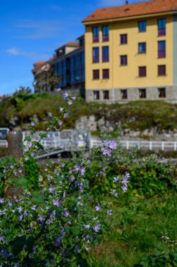 Asturias 'ın Yeşil Sahili' nde tatil, İspanya 'nın kuzeyinde eski limanı olan Llanes turistik şehri manzarası..