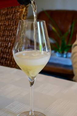 Grand Cru şarabının tadı köpüklü beyaz şarap Grand Cru şarap üreticisi küçük bir köy olan Ambonnay, Champagne, Fransa 'daki eski şampanya evinde şampanya.
