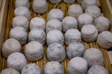 Peynir koleksiyonu, yumuşak keçi peyniri küflü Fransız peyniri Chavignol peyniri peynir tarlasında Sancerre yakınlarında üretiliyor.