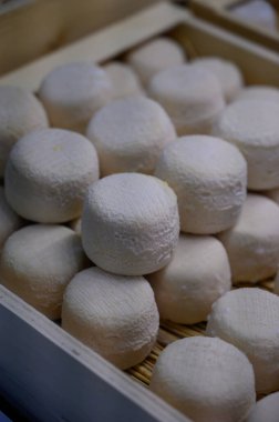 Peynir koleksiyonu, yumuşak keçi peyniri küflü Fransız peyniri Chavignol peyniri peynir tarlasında Sancerre yakınlarında üretiliyor.