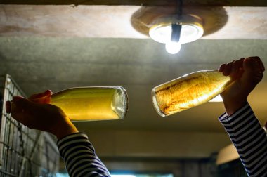 Yeraltı mağaralarını ziyaret etmek, tortuları şişede göstermek, Cote des Bar 'da geleneksel şampanya yapımı köpüklü şarap, şampanya, Fransa