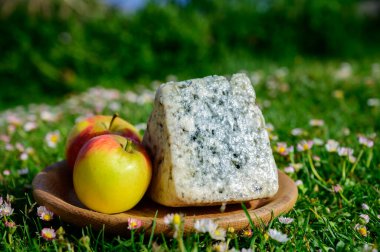 Cabrales, İspanya 'nın Asturias kentindeki kırsal süt çiftçileri tarafından üretilen mavi peynirdir. İneklerden sağılır veya keçi sütüyle karıştırılır. Picos de Europa dağları ve Covadonga Gölü ile karıştırılır.