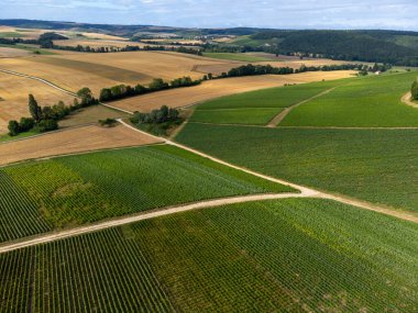 Urville yakınlarında üzüm bağları olan tepelerde hava manzarası, yazın Champange, Fransa 'nın güneyinde Cote des Bar, Aube' de yeşil şampanya bağları.