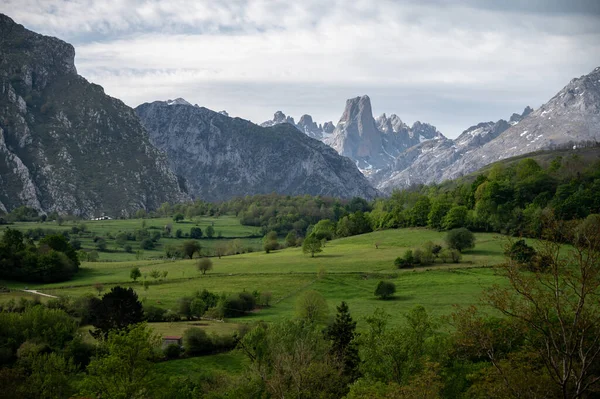 Picos de Europa 'nın Macizo Orta Bölgesi' nde yer alan Paleozoik Çağ 'dan kalma kireçtaşı zirvesi Naranjo de Bulnes veya Picu Urriellu' nun panoramik görüntüsü, Kuzey İspanya 'nın Asturias sıradağları