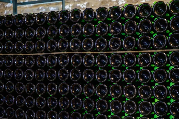 Many bottles of champagne sparkling wine. Visit of undergrounds caves, traditional making of champagne wine in Cote des Bar, Aube, south of Champagne, France